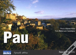 Capa do artigo Pau