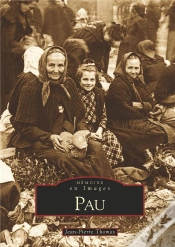 Capa do artigo Pau
