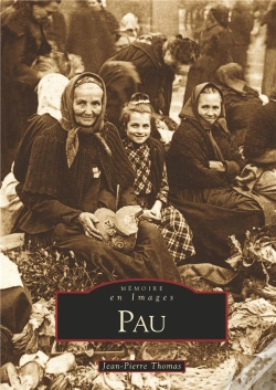 Capa do artigo Pau