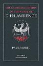 Paul Morel - Preview