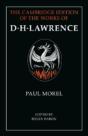 Paul Morel - Preview