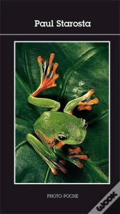 Capa do artigo Paul Starosta