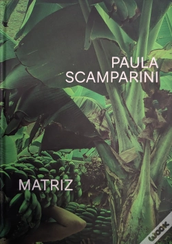 Capa do artigo Paula Scamparini. Matriz