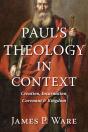 Paul'S Theology In Context - Preview