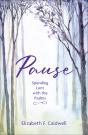 Pause - Preview