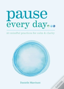 Capa do artigo Pause Every Day