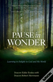 Capa do artigo Pause In Wonder