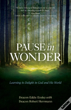 Capa do artigo Pause In Wonder
