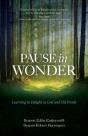 Pause In Wonder - Preview