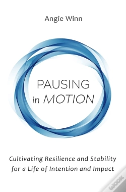 Capa do artigo Pausing In Motion