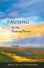 Pausing In The Passing Places - Preview