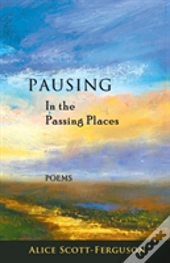 Pausing In The Passing Places