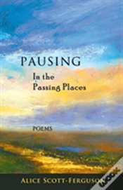 Capa do artigo Pausing In The Passing Places