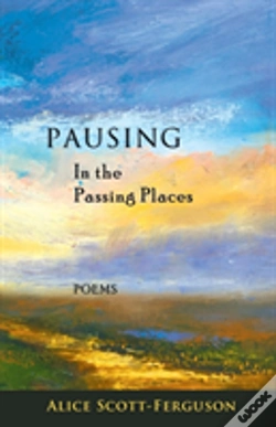 Capa do artigo Pausing In The Passing Places