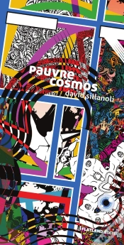 Capa do artigo Pauvre Cosmos