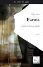 Pavots - Preview