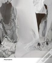Pawel Althamer ; Polyethylene ; Common Task