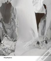 Capa do artigo Pawel Althamer ; Polyethylene ; Common Task