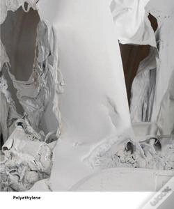 Capa do artigo Pawel Althamer ; Polyethylene ; Common Task