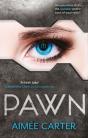 Pawn - Preview