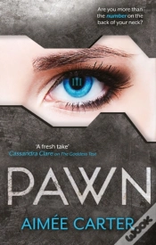 Capa do artigo Pawn