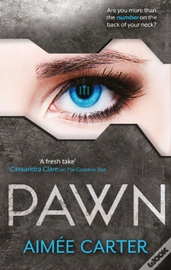 Capa do artigo Pawn