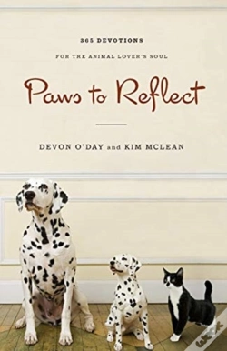 Capa do artigo Paws To Reflect
