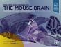 Paxinos And Franklin'S The Mouse Brain In Stereotaxic Coordinates, Compact - Preview