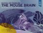 Paxinos And Franklin'S The Mouse Brain In Stereotaxic Coordinates - Preview