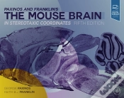 Capa do artigo Paxinos And Franklin
