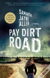 Capa do artigo Pay Dirt Road