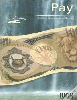 Capa do artigo Pay