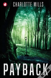 Capa do artigo Payback