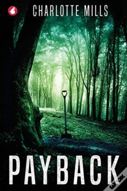 Capa do artigo Payback