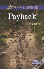 Capa do artigo Payback