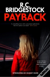 Capa do artigo Payback
