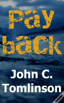 Capa do artigo Payback