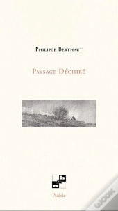 Paysage Dechire