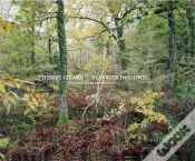 Capa do artigo Paysages Insoumis