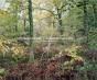 Paysages Insoumis - Preview