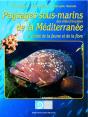 Paysages Sous-Marins Des Côtes Françaises De La Méditerranée Et Guide De La Faune Et De La Flore - Preview