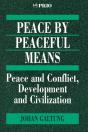 Peace By Peaceful Means - Preview