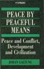 Peace By Peaceful Means - Preview