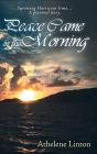 Peace Came In The Morning - Preview