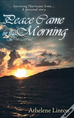 Capa do artigo Peace Came In The Morning