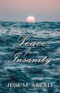 Peace From Insanity - Preview