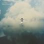 Peace in Chaos - Vinil - Preview