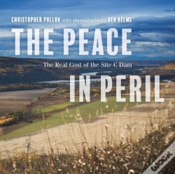 Capa do artigo Peace In Peril