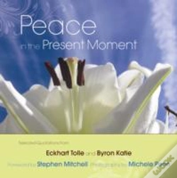 Capa do artigo Peace In The Present Moment
