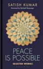 Peace Is Possible - Preview